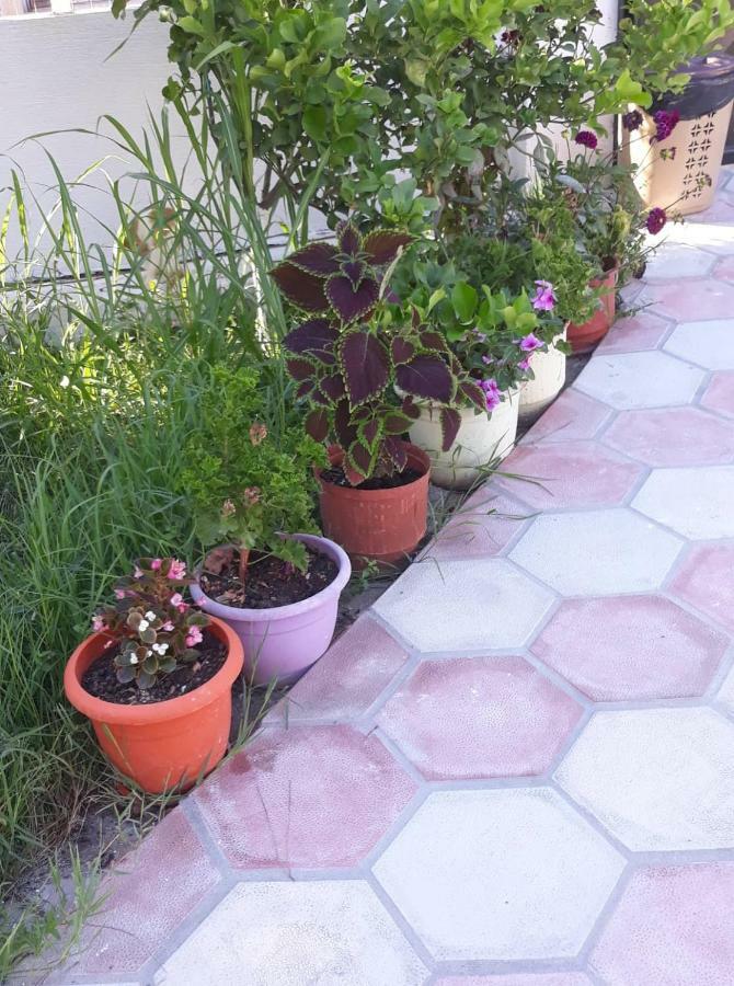 Guesthouse Sueda Ksamil Bagian luar foto