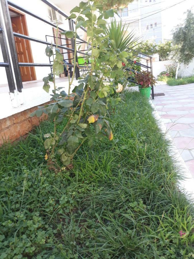 Guesthouse Sueda Ksamil Bagian luar foto